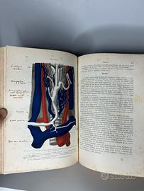 Libro antico medico