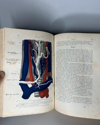 Libro antico medico
