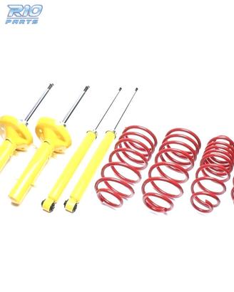 KIT SOSPENSIONE SPORTIVA PER CITROËN