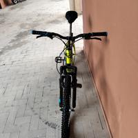 perche è  piccola