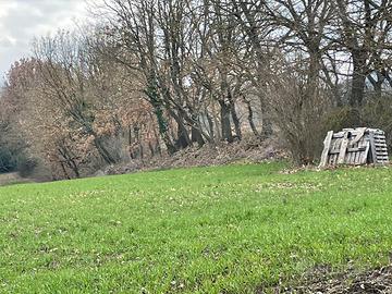 Terreno agricolo con garage grezzo eccetera