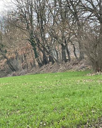 Terreno agricolo con garage grezzo eccetera