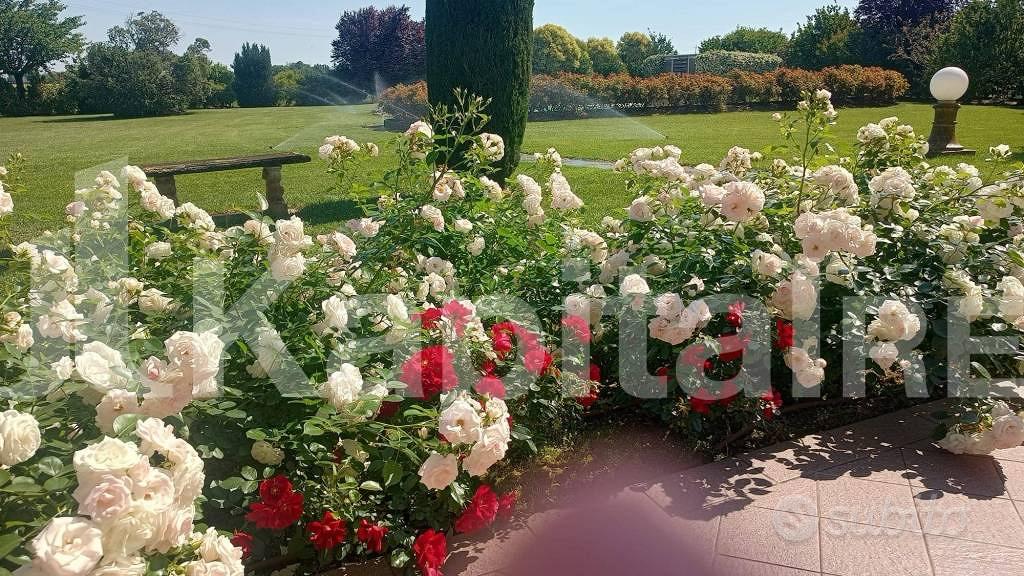 Villa di 270 m² con più di 5 locali e box auto a C - Altro
