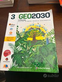 GEO 2030
