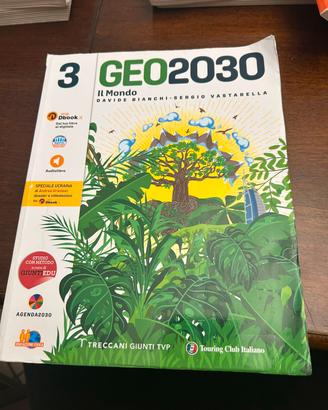 GEO 2030