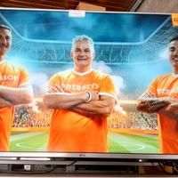 TV Led 49' LG con garanzia 