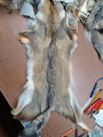 pelli di volpe pelliccia