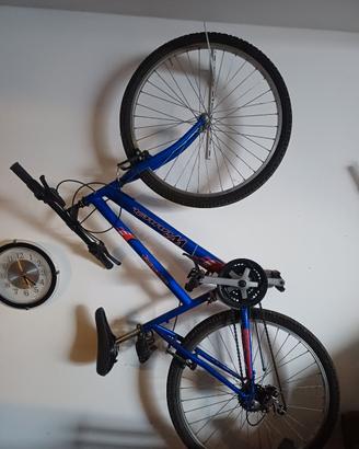 bici ragazzo