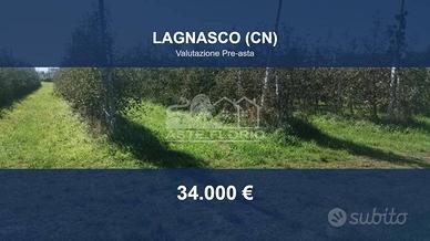 Immobile in asta di 5598 m² a Lagnasco