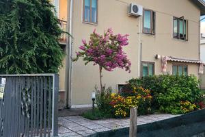 Porzione bifamiliare borbiago centro