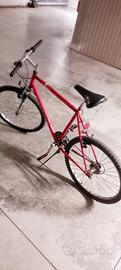 bicicletta da uomo 