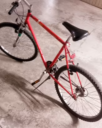 bicicletta da uomo 