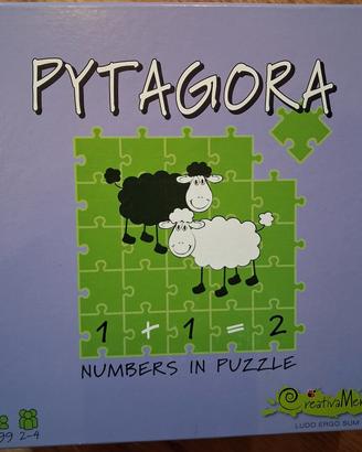 Gioco-puzzle didattico 