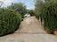 Immagine 17