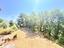 Immagine 27