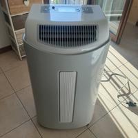 Pinguino portatile Airwell