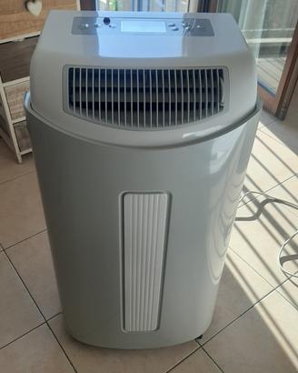 Pinguino portatile Airwell