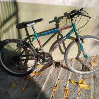 Mountain bike 24 bici