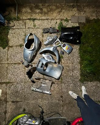 Plastiche scarabeo 50