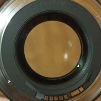 Canon EF 85mm f/1.8 USM