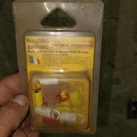 molle Malossi piaggio minarelli