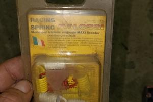 molle Malossi piaggio minarelli