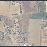 Pulsano Terreno agricolo adiacenze Via La Fosa