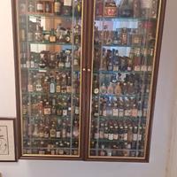 Collezione di bottigliette mignon
