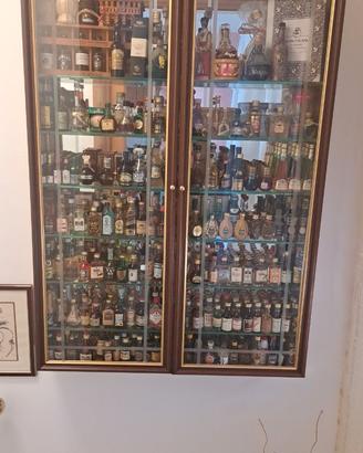 Collezione di bottigliette mignon