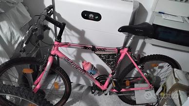 bicicletta mtb 