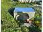 Immagine 13