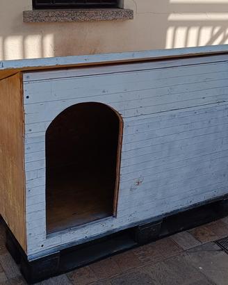 Cuccia per cane