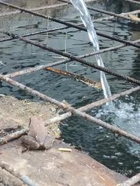 Villa immersa nel verde