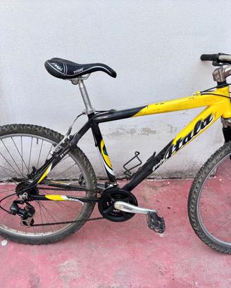 Mountain Bike MTB 21 velocità ammortizzata