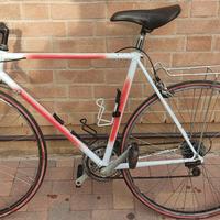 Schwinn Prologue

vintage anni 90