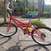 Bicicletta bambino