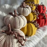 Zucche autunnali- grandi