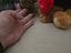 Immagine 2