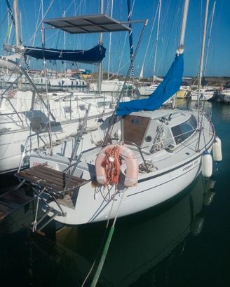 barca a vela comet 8.50