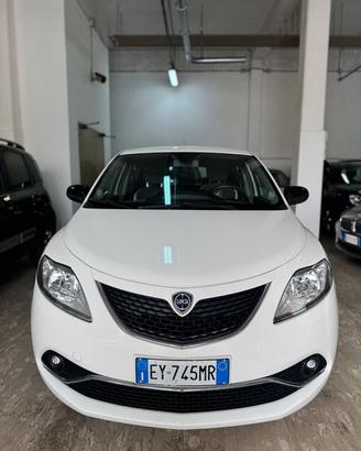Lancia Ypsilon 1.2 69 CV 5 porte Platinum