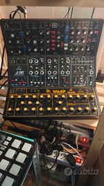 Moduli Behringer Cat-model D - wasp