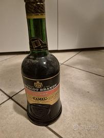 Apricot Brandy Camel