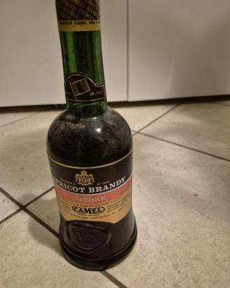Apricot Brandy Camel