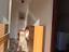 Immagine 14