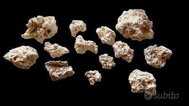 Rocce sintetiche acquario