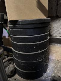 Dischi Bumper Plates 100kg