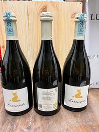 Vino bianco frizzante L’essenziale colfondo