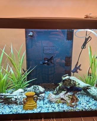 ACQUARIO MARINA Led 75 Litri