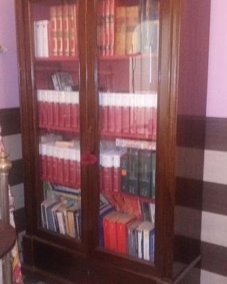 Vetrinetta / Libreria in legno scuro con ante