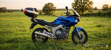 Yamaha TDM 900 del 2003